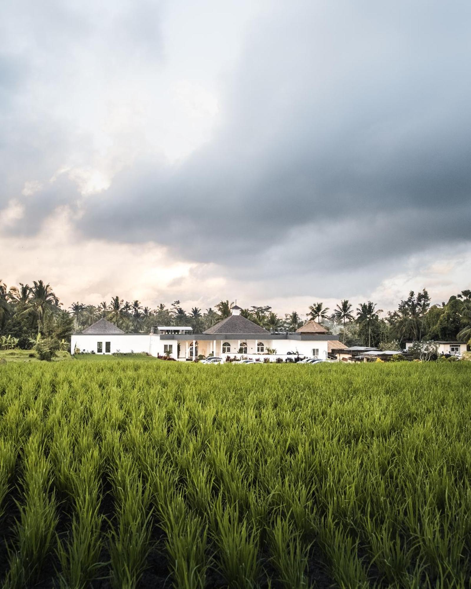Cascades Suites Ubud  Ngoại thất bức ảnh
